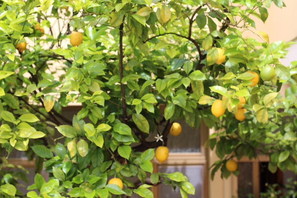 Bed and Breakfast Fiori E Limoni Quartucciu Exterior foto